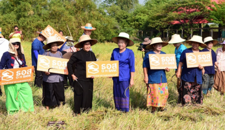 ธอส. นำทีมชุมชนบ้านสามเรือน ลงแขกเกี่ยวข้าวรับขวัญแม่โพสพ ต่อยอดเทศกาลหุ่นไล่กา ณ ชุมชนสามเรือน