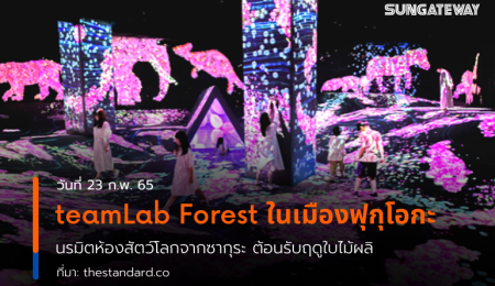 teamLab Forest ในเมืองฟุกุโอกะ เนรมิตห้องสัตว์โลกจากซากุระ ต้อนรับฤดูใบไม้ผลิ