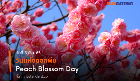 วันแห่งดอกพีช   Peach Blossom Day
