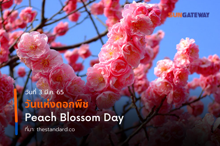วันแห่งดอกพีช   Peach Blossom Day