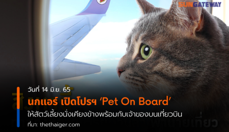 นกแอร์ เปิดโปรฯ Pet On Board ให้สัตว์เลี้ยงนั่งเคียงข้างพร้อมกับเจ้าของบนเที่ยวบิน