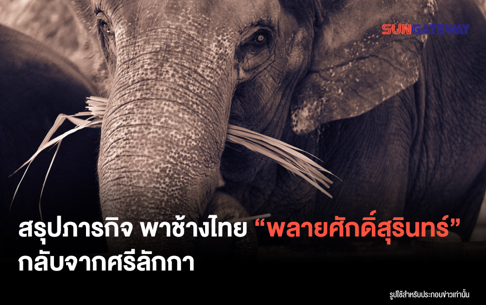 A brief history of Thailand's 'elephant diplomacy
