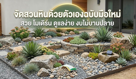 จัดสวนหินด้วยตัวเอง ฉบับมือใหม่ สวย โมเดิร์น ดูแลง่าย งบไม่บานปลาย