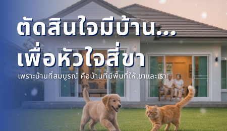 ตัดสินใจครั้งใหญ่… เพื่อหัวใจสี่ขา: เมื่อความหมายของคำว่า “บ้าน” คือพื้นที่ความสุขของคนไกลบ้านและสิ่งที่รัก