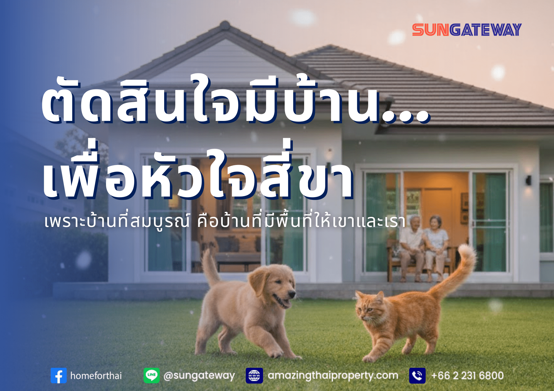 กู้บ้านคนไทยในต่างแดน สุนัขและแมวในบ้านใหม่