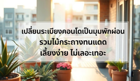 เปลี่ยนระเบียงคอนโดเป็นมุมพักผ่อน รวมไม้กระถางทนแดด เลี้ยงง่าย ไม่เลอะเทอะ