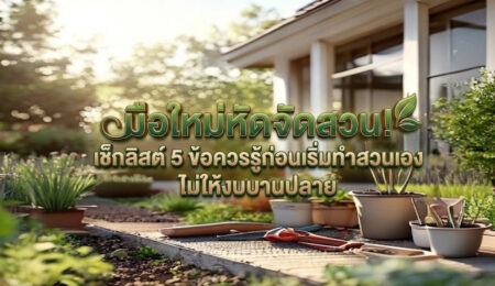 มือใหม่หัดจัดสวน เช็กลิสต์ 5 ข้อควรรู้ก่อนเริ่มทำสวนเอง ไม่ให้งบบานปลาย