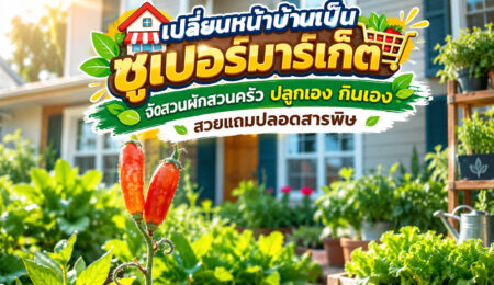 เปลี่ยนหน้าบ้านเป็นซูเปอร์มาร์เก็ต จัดสวนผักสวนครัว ปลูกเอง กินเอง สวยแถมปลอดสารพิษ