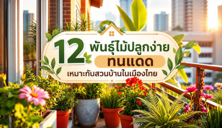 12 พันธุ์ไม้ปลูกง่าย ทนแดด เหมาะกับสวนบ้านในเมืองไทย