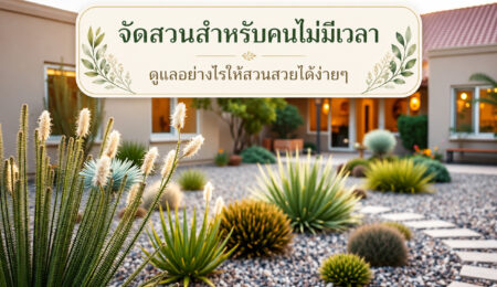 จัดสวนสำหรับคนไม่มีเวลา ดูแลอย่างไรให้สวนสวยได้ง่ายๆ